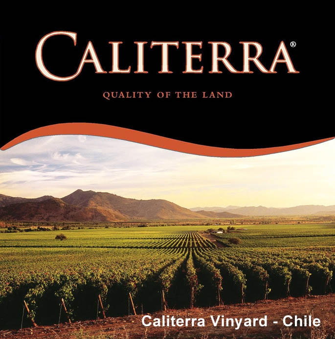 Caliterra Vinyard - Chile